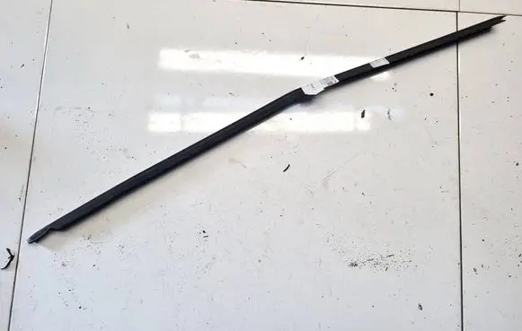 Citroen C3 Front door glass trim molding 
