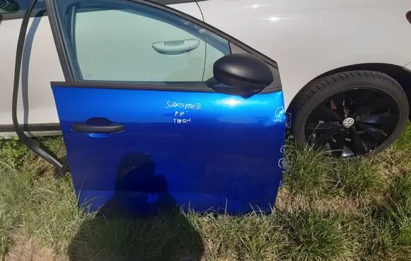 Dacia Sandero Front door