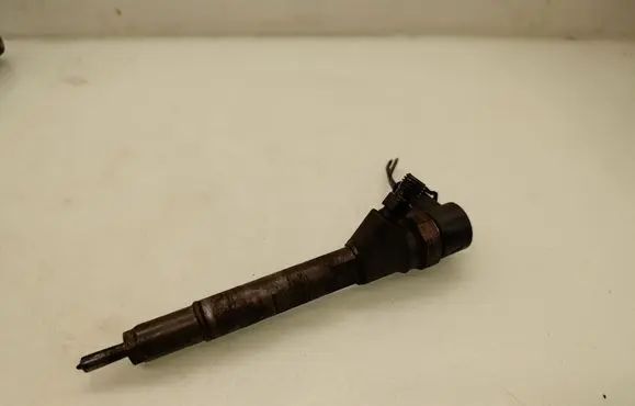 Chrysler Voyager Fuel injector 0445110059