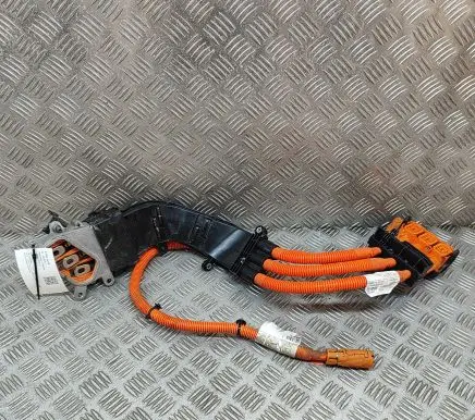 Volvo V60 Other wiring loom 30644624 30644794