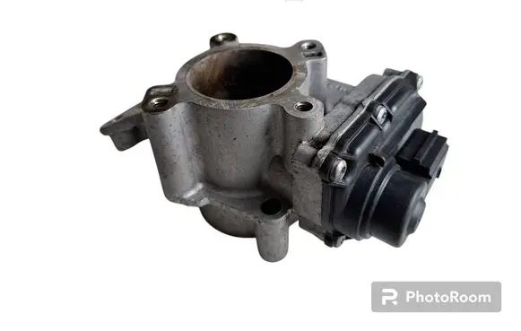EGR valve
