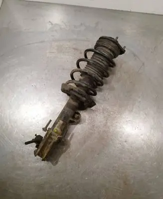 Fiat Doblo Front shock absorber with coil spring 824903008432