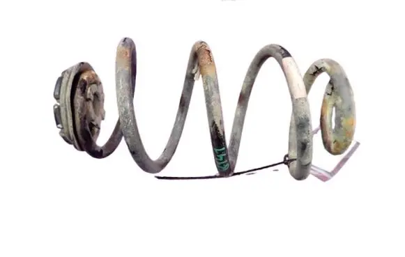 Rear coil spring
