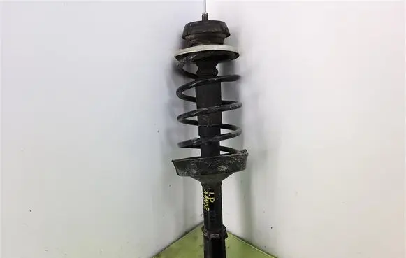 Renault Clio II Front shock absorber with coil spring MGA5674