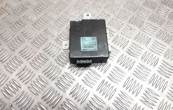 KIA Sorento Door central lock control unit/module 954003E310