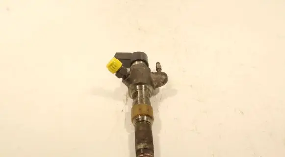 Citroen C5 Fuel injector 9674973080