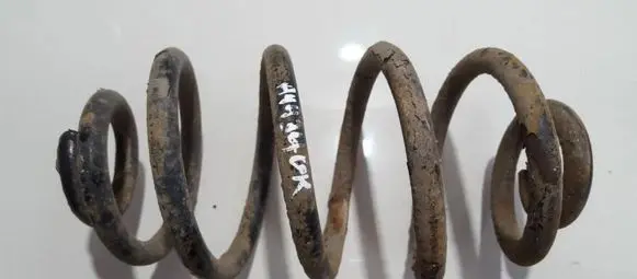 Volkswagen PASSAT B5 Rear coil spring