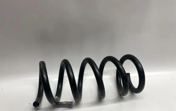 Ford Mustang VI Rear coil spring JR3C5560BC