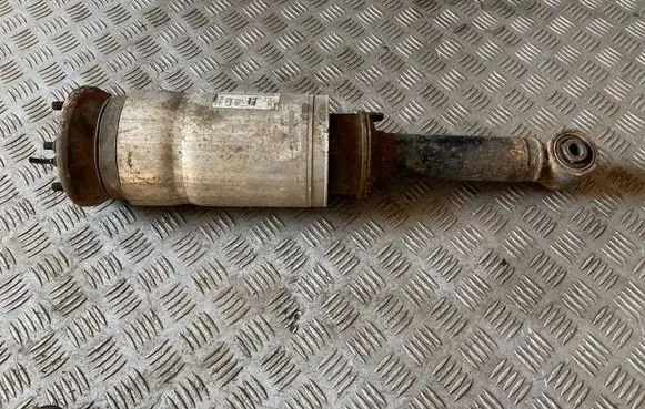 Land Rover Range Rover Sport L320 Rear shock absorber/damper 22241483