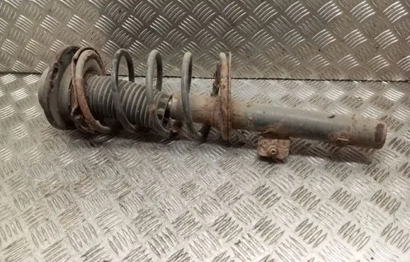 Peugeot 206 Front shock absorber with coil spring