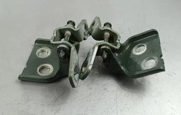 Dacia Jogger Rear door hinge set 