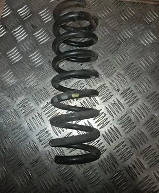 Rear coil spring