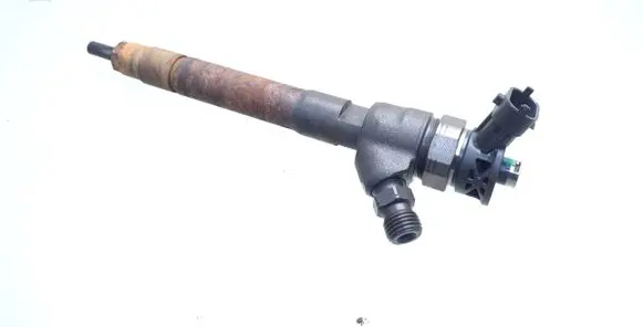Nissan Qashqai Fuel injector B445161554 0445110546