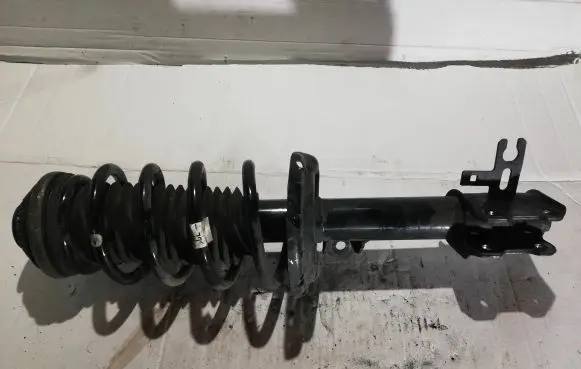 Opel Zafira B Front shock absorber with coil spring