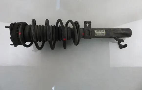 Front shock absorber with coil spring