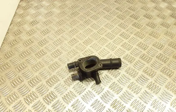 Thermostat/thermostat housing