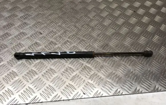 Front bonnet/hood damper/strut