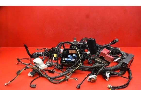 Other wiring loom