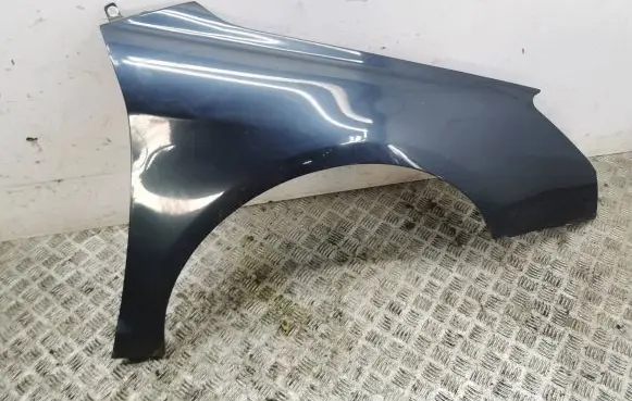 Citroen C5 Fender