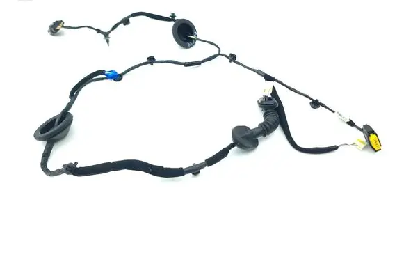 Rear door wiring loom