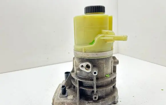Renault Trafic III (X82) Power steering pump 93868479
