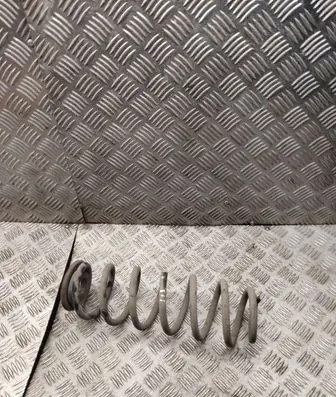Volkswagen PASSAT B6 Rear coil spring 