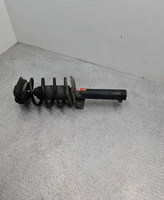Volkswagen Tiguan Front shock absorber with coil spring 757326L L06518