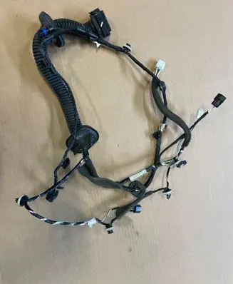Renault Zoe Front door wiring loom 241257516R