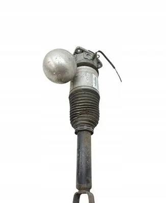 Volkswagen Phaeton Front shock absorber/damper 3D0616001K