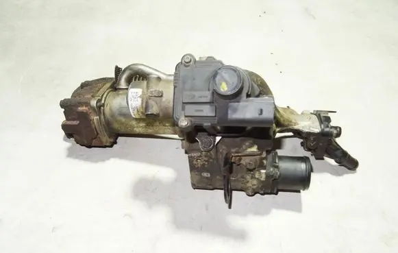 Renault Kangoo I EGR valve cooler 8200545260 700871915661 7003680500