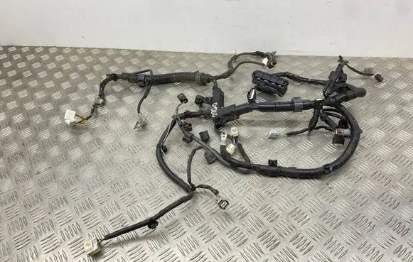 Toyota Aygo AB40 Other wiring loom 821210H421A