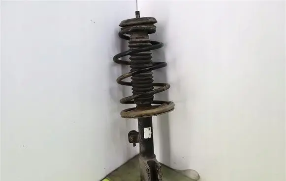 Peugeot 307 Front shock absorber with coil spring 