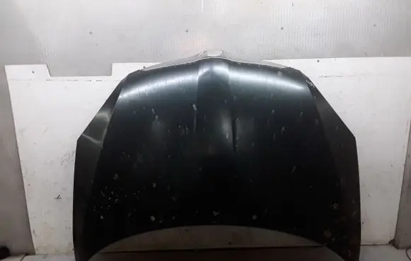 Skoda Roomster (5J) Engine bonnet/hood