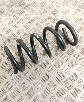Rear coil spring