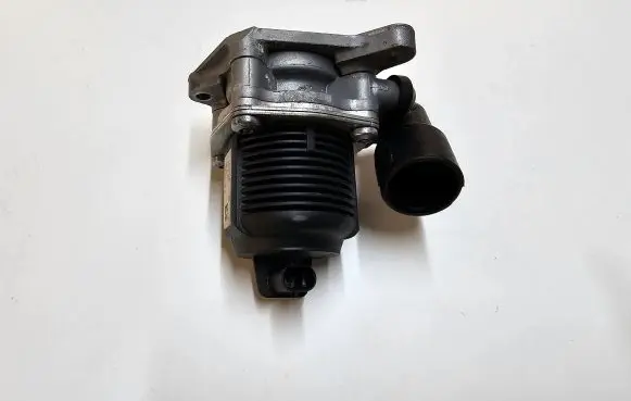 Volkswagen Tiguan Allspace EGR valve 06K131097K 70151058