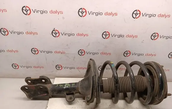 Hyundai Santa Fe Front shock absorber with coil spring