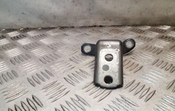 Lexus RX 450H Rear door lower hinge