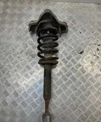 Audi A4 S4 B7 8E 8H Front shock absorber with coil spring
