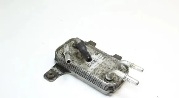 Land Rover Range Rover Sport L320 Fuel cooler (radiator) F8741004