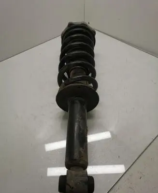BMW X4 G02 Rear shock absorber with coil spring 6880604
