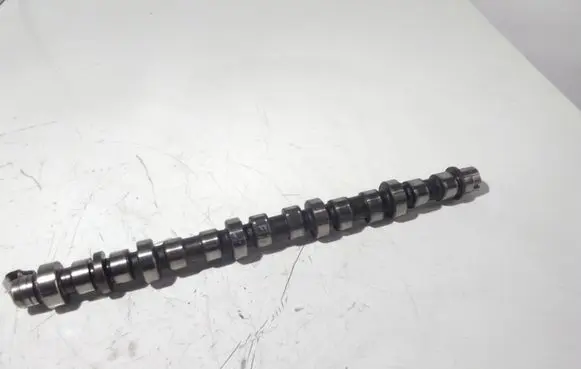Fiat Croma Camshaft 385