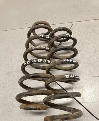 Rear coil spring