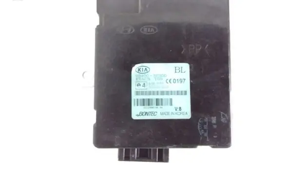 KIA Sorento Other control units/modules 954003E300