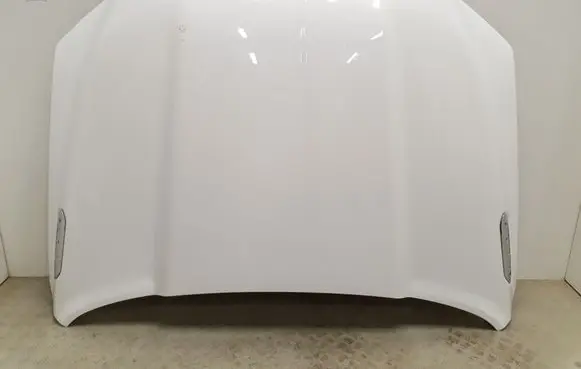 Engine bonnet/hood