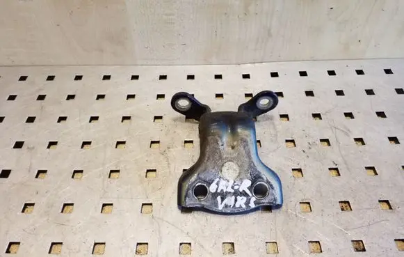 Chevrolet Captiva Rear door upper hinge