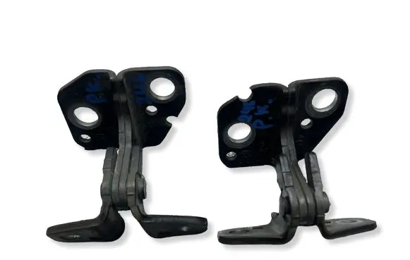 Dodge RAM 1500 DS Front door hinge set 1120038