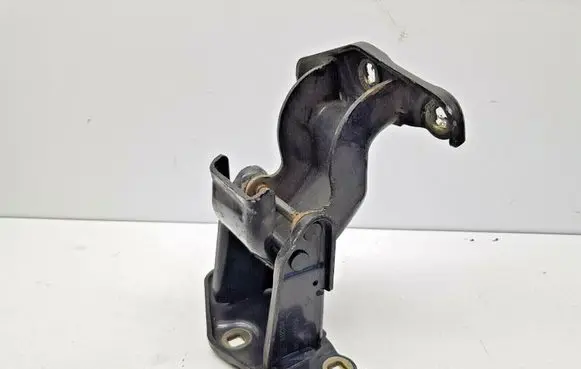 Renault Trafic II (X83) Rear door lower hinge 312304K66379 nr8297