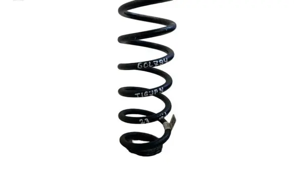Volkswagen Tiguan Allspace Rear coil spring 5QN511115D