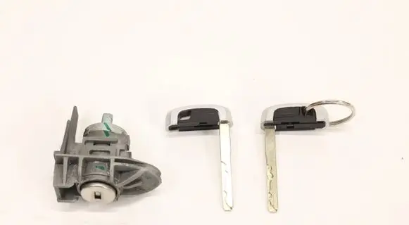 Ford Ecosport Ignition key/card L1TT-14B006-AA