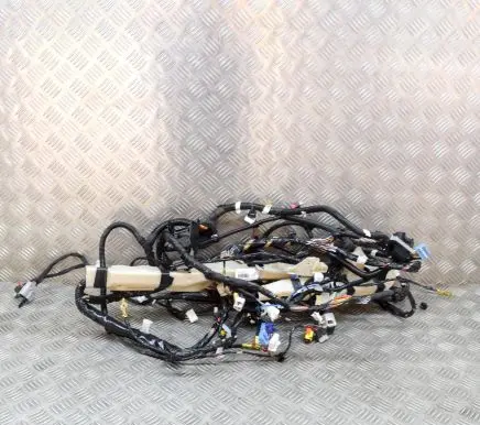 Tesla Model 3 Other wiring loom 206795406C